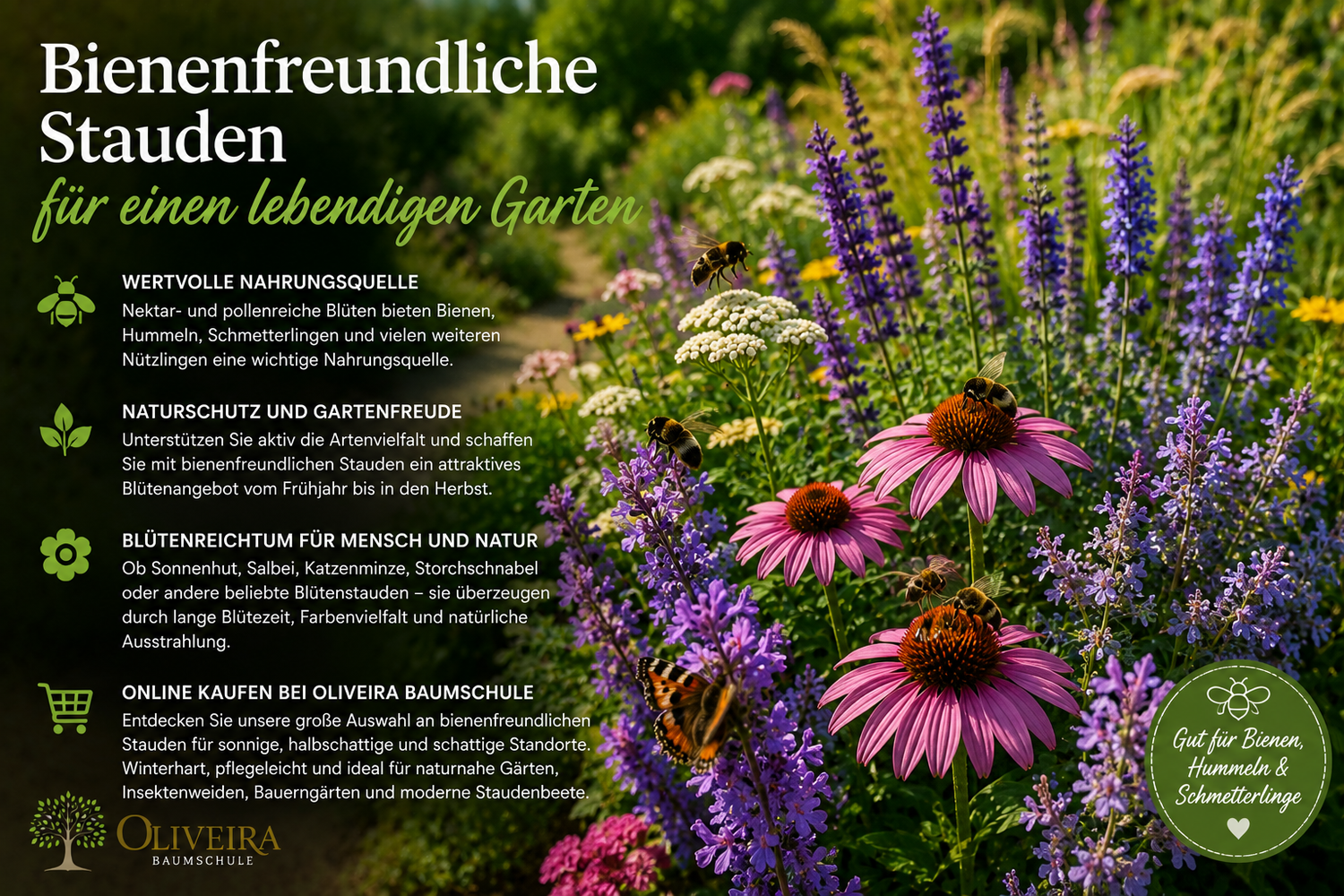 Bienenfreundliche Stauden kaufen | Oliveira Baumschule