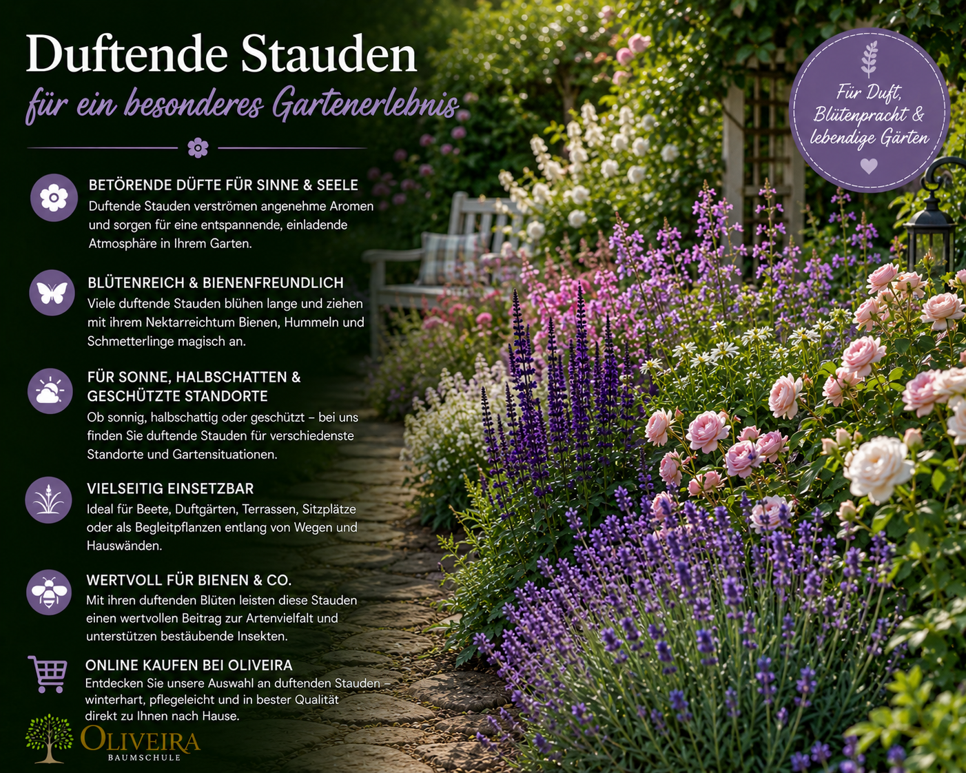 Duftende Stauden kaufen | Oliveira Baumschule